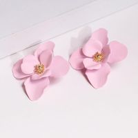 Womens Floral Paint Alloy Earrings Nhln148174 main image 5