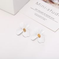 Womens Floral Paint Alloy Earrings Nhln148182 main image 4