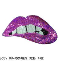 Fashion Bright Sequins Lips Cloth Embroidered Patch Nhlt148263 main image 9