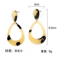 Geometric Acrylic Acetate Drop Earrings Nhpf148433 main image 3