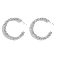 Womens Geometric C Type Plating Alloy Earrings Nhjq139808 main image 8