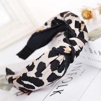 Fashion Leopard Print Wide Headband Nhhv139944 main image 1