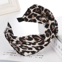 New Simple Leopard Snake Pattern Wide Headband Nhhv139960 main image 4