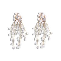 Fashion Beads Imitated Crystal With Rhinestone And Beads Tassel Alloy Earrings Nhjq140179 sku image 1