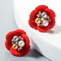 Womens Floral Paint Alloy Earrings Nhln151577 main image 3