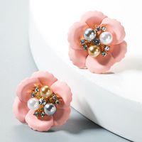 Womens Floral Paint Alloy Earrings Nhln151577 main image 4