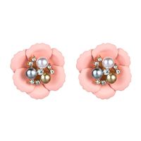 Womens Floral Paint Alloy Earrings Nhln151577 main image 9