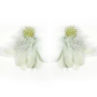Temperament Crystal Flower Long Feather Tassel Earrings Nhll152196 main image 10