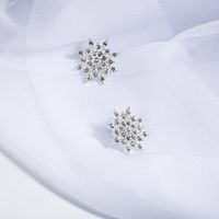 Koreanische Version Von Trend Igen Exquisiten Strass Ohrringe Schmuck Personal Isierte Accessoires Damen Ohrringe Big Snow Direkt Verkauf Großhandel main image 4