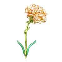 Temperament Drip Plant Flower Alloy Brooch Nhdr152984 main image 2