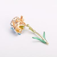 Temperament Drip Plant Flower Alloy Brooch Nhdr152984 main image 4
