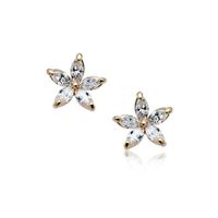 Korean Version Of Exquisite Pentagonal Petal Zircon Alloy Earrings Nhlj152867 sku image 1