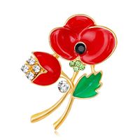 Womens Floral Plating Alloy Brooches Nhdr153413 main image 1