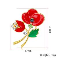 Womens Floral Plating Alloy Brooches Nhdr153413 main image 4