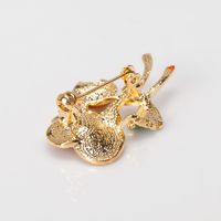 Womens Floral Plating Alloy Brooches Nhdr153413 main image 6