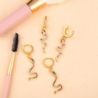 En Ligne Influenceur Bijoux Européen Et Américain Nouveau Serpent En Forme De Boucles D'oreilles Longues Oreilles Clip Exagéré Mix Et Match À La Mode Femme Boucles D'oreilles Cloutés Avec Zircon Err37 main image 5