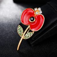 Womens Floral Plating Alloy Brooches Nhdr153447 main image 4