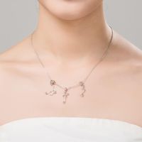 S925 Abstrakte Asymmetrische Sterling Silber Halskette Weibliche Koreanische Mode Persönlichkeit Schlüsselbein Kette Kalten Wind Hals Schmuck main image 3