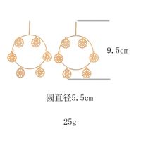Simple Alloy Geometric Hollow Shop Dream Net Earrings Nhhn154578 main image 5