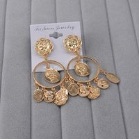 Fashion Metal Ring Coin Head Earrings Nhnt154591 main image 5