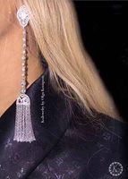 Long Wild Crystal Zircon Tassel Earrings Nhnt154548 sku image 1