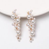 Pearl-studded Grape-shaped Earrings Nhjj155448 main image 1