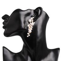 Pearl-studded Grape-shaped Earrings Nhjj155448 main image 6