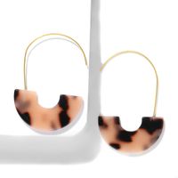 Fashion Resin Long Hoop Earrings Nhjq155410 sku image 2