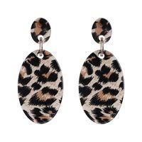 Aretes De Acrílico Con Diseño De Leopardo Nhjj155650 main image 8