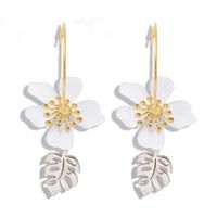 New Leaf Flower Alloy Earrings Nhjq149810 main image 10