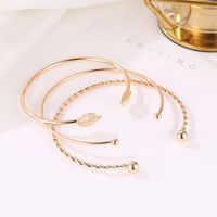 Fashion Twist Leaf Three-piece Geometric Open Bracelet Nhdp150014 main image 4