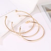 Fashion Twist Leaf Three-piece Geometric Open Bracelet Nhdp150014 main image 5