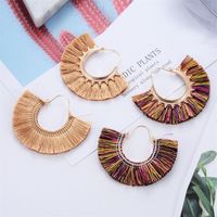 Creative Fan-shaped Ethnic Style Exaggerated Tassel Earrings Nhdp150113 main image 6