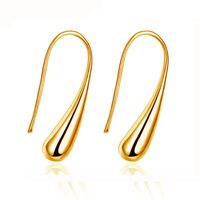 Fashion Trend Big Drop Ear Hook Nhdp150025 sku image 2