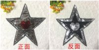 Fashion Simple Color-changing Sequins Embroidered Cloth Stickers Nhlt150347 main image 5