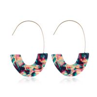 Leopard Acetate Acrylic U-shaped Contrast Hoop Earrings Nhdp151033 main image 9