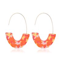 Leopard Acetate Acrylic U-shaped Contrast Hoop Earrings Nhdp151033 main image 10