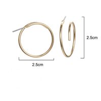 Geometric Metal Circle Hoop Earrings Nhpf151083 main image 3