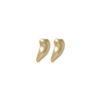 New Popular Brass Matte Earrings Geometric Irregular S925 Silver Earrings For Women main image 6