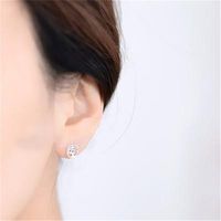 Europäische Und Amerikanische Beliebte Ohrringe Einfache Frische Baum Ohrringe Weibliche Blatt Ohrringe Hohle Geometrische Runde Ohrringe Großhandel main image 3