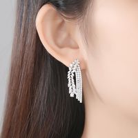 Jinse Yongwen Ohrringe Europäische Und Amerikanische Übertriebene Atmosphäre Lange Damen Kupfer Eingelegter Zirkon Ohrringe Zweige Geschenk Ohrringe main image 3