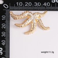 Alloy Starfish Diamond Earrings Personality Street Shooting Golden Animal Earrings main image 6