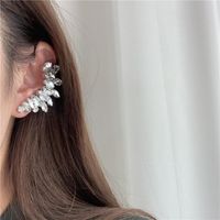 Europäische Und Amerikanische Übertriebene Blinkende Volle Diamant Flügel Ohr Knögel Ohrringe Integrierte Ohrringe Frauen 2019 Neue Koreanische Ohrringe main image 6