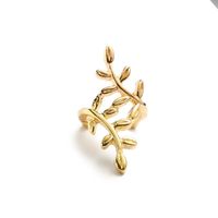 Wholesale Jewelry Simple Style Leaf Metal No Inlaid Plating Earrings sku image 1