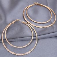 Fashion Metal Simple Double Circle Temperament Earrings main image 1