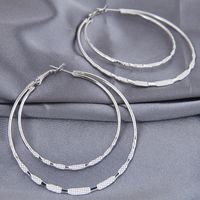 Fashion Metal Simple Double Circle Temperament Earrings sku image 1