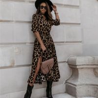 Casual V Neck Printing Long Sleeve Leopard Knee-length main image 3