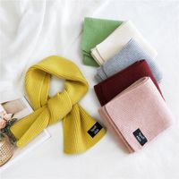 Pure Color Double-sided Dual-use Labeling Scarf For Women Korean Warm Scarf main image 6