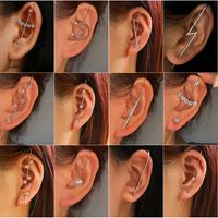 Embedded Diamond Simple Piercing Ear Needles Lightning Leaf Diagonal Stud Earrings main image 1