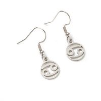 Twelve Constellations Fully Polished Cut Earrings main image 6